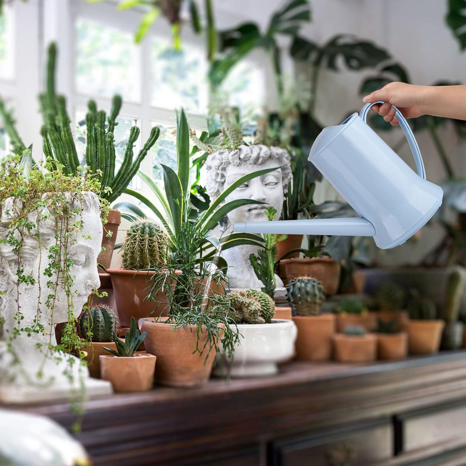 imageXXXFLOWER 12 Gallon Small Indoor Plant Watering Can 2L Long Spout Removable Nozzle Flower Watering Pot for Office House Indoor GardenPink67 ozBlue2L