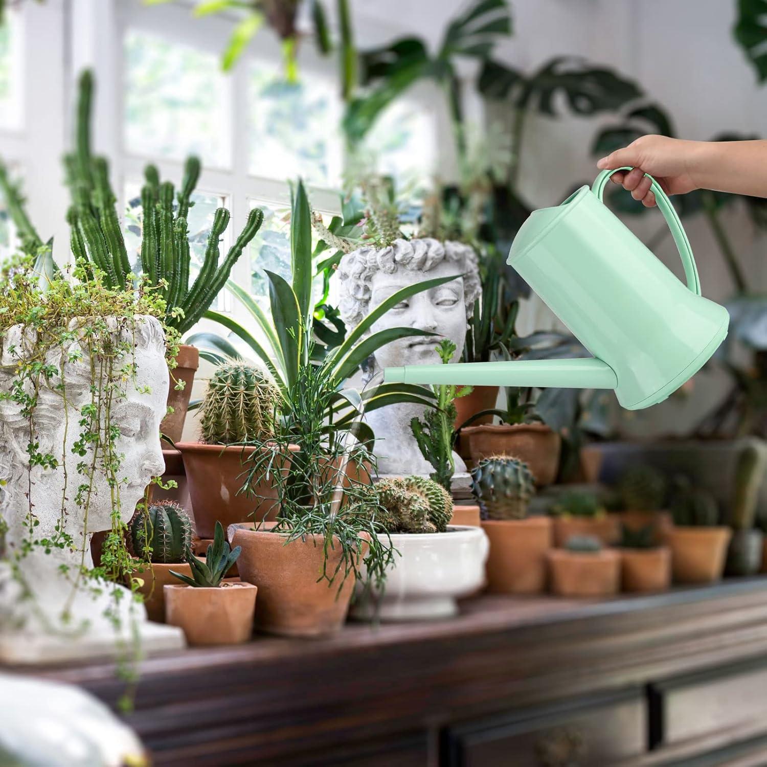 imageXXXFLOWER 12 Gallon Small Indoor Plant Watering Can 2L Long Spout Removable Nozzle Flower Watering Pot for Office House Indoor GardenPink67 ozGreen2L