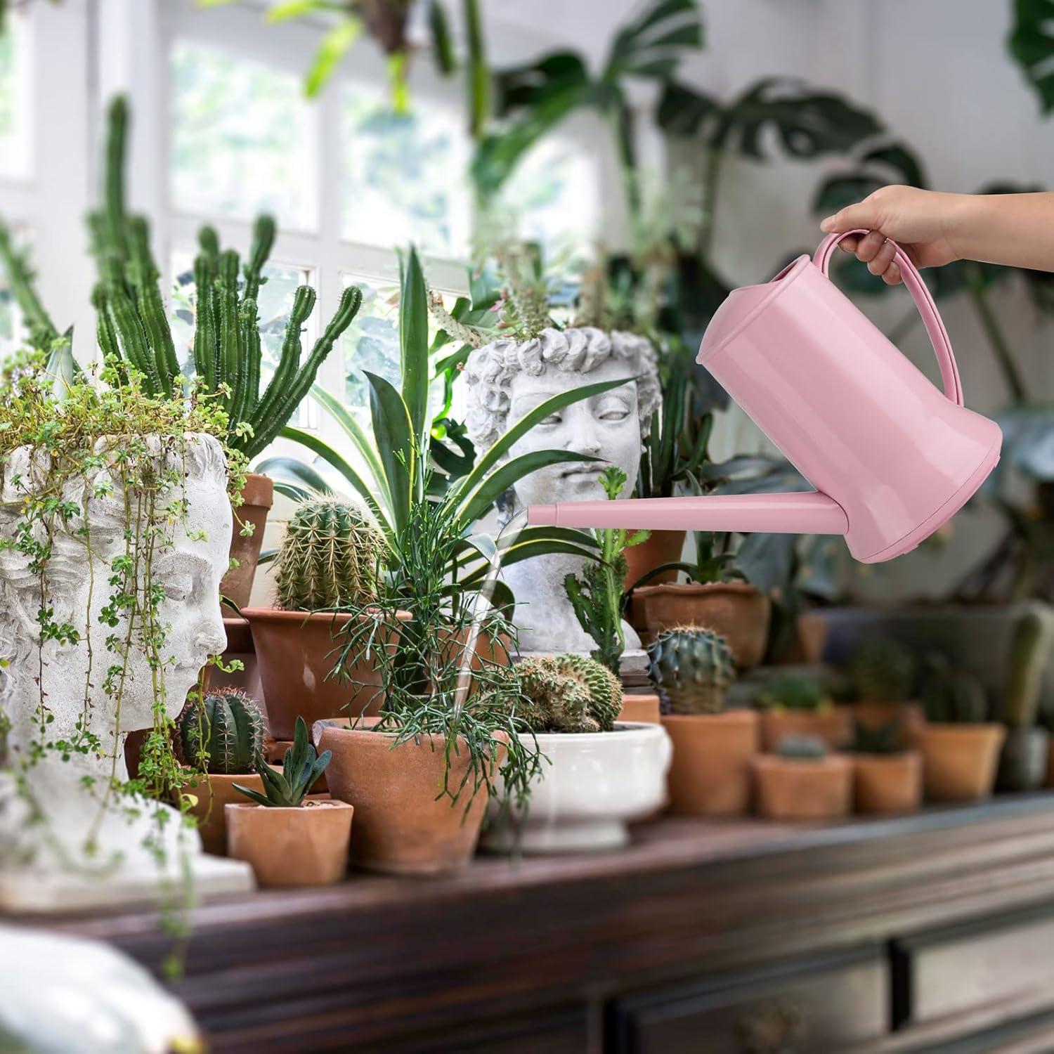 imageXXXFLOWER 12 Gallon Small Indoor Plant Watering Can 2L Long Spout Removable Nozzle Flower Watering Pot for Office House Indoor GardenPink67 ozPink2L