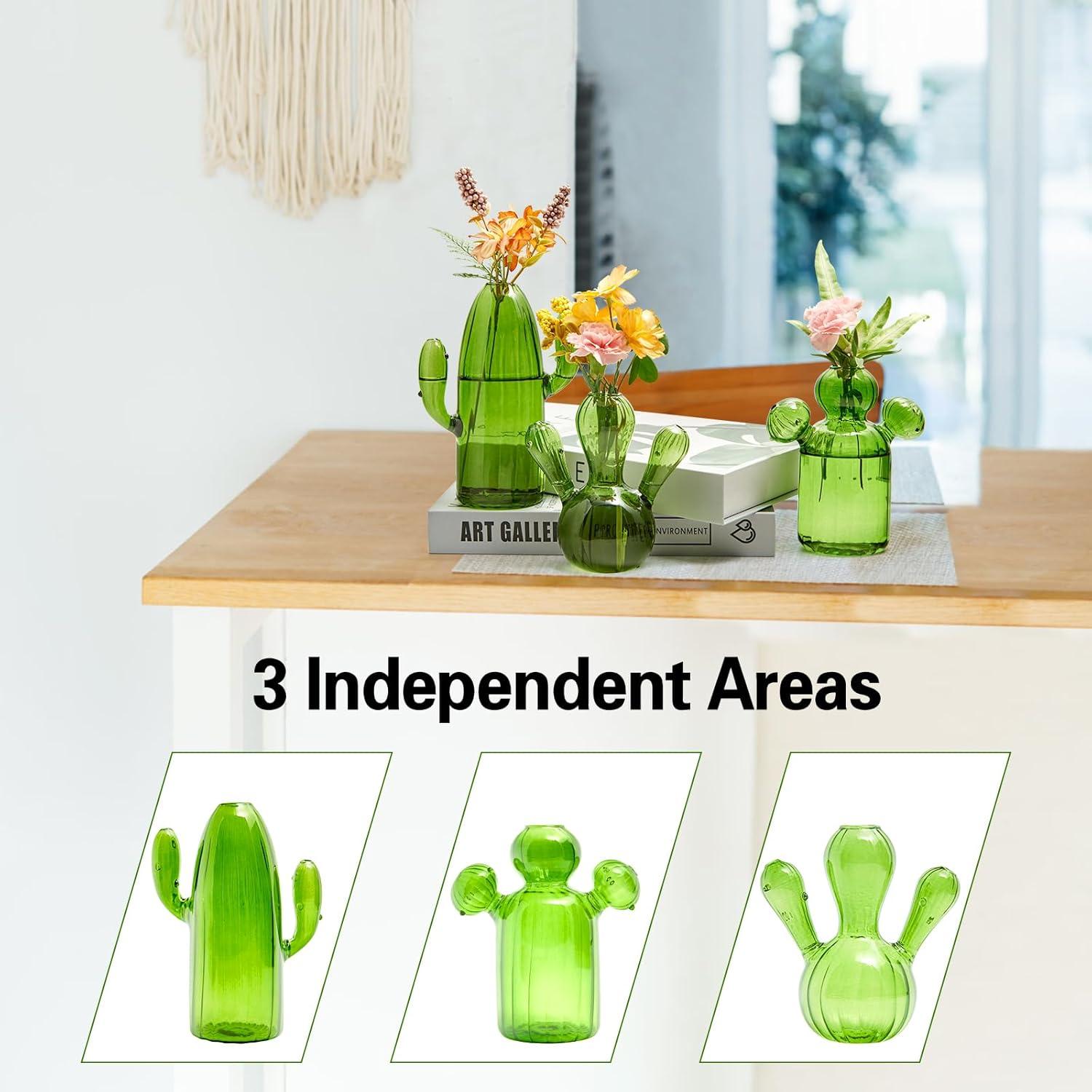 imageXXXFLOWER Cactus Plant Propagation Station Terrarium Jars for Plant Cuttings Air Plant Holders Unique Glass Flower Vase for Hydroponics Plants for Plant Lovers Home Garden Decor3PCS