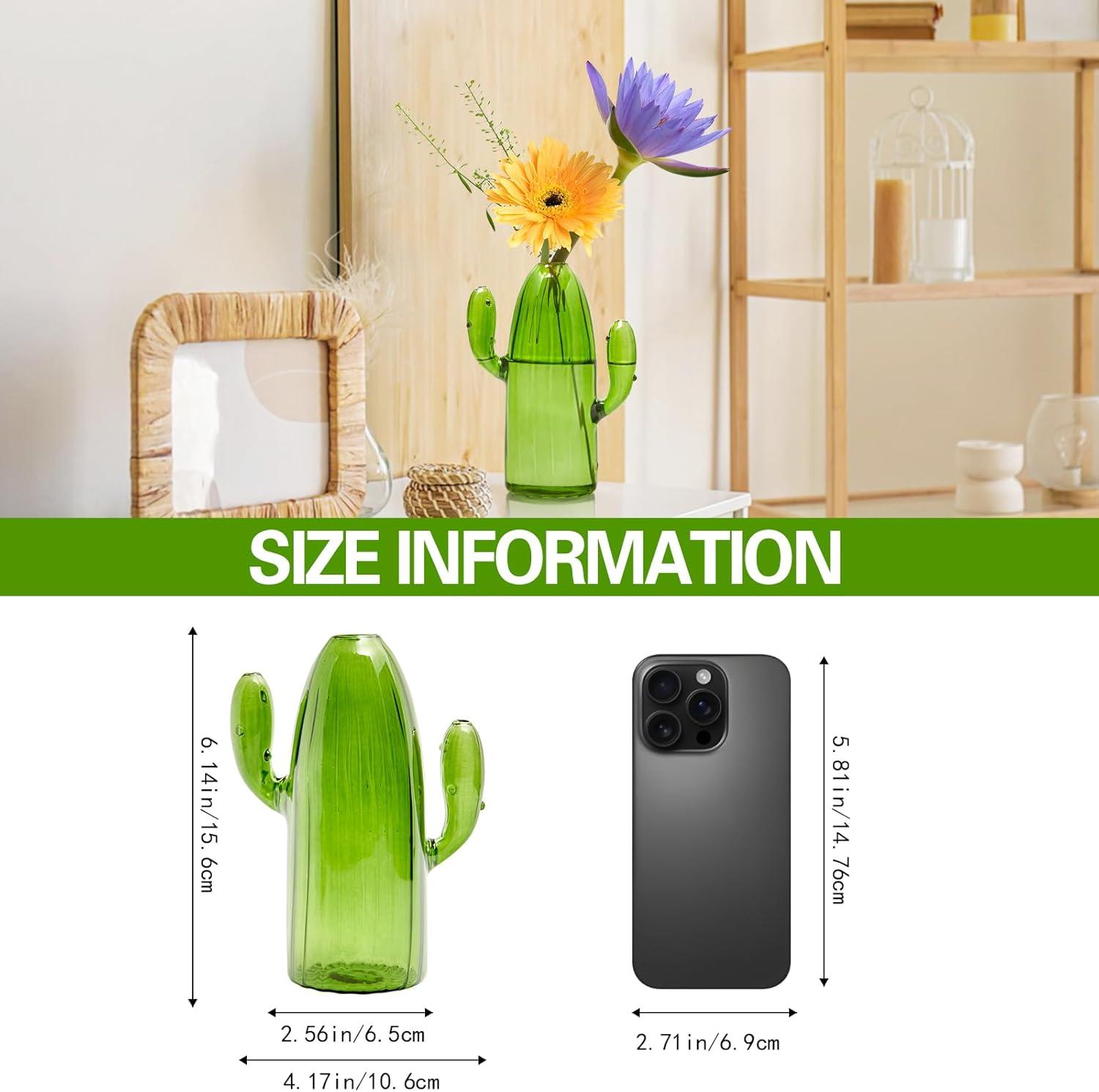 imageXXXFLOWER Cactus Plant Propagation Station Terrarium Jars for Plant Cuttings Air Plant Holders Unique Glass Flower Vase for Hydroponics Plants for Plant Lovers Home Garden Decor1PC