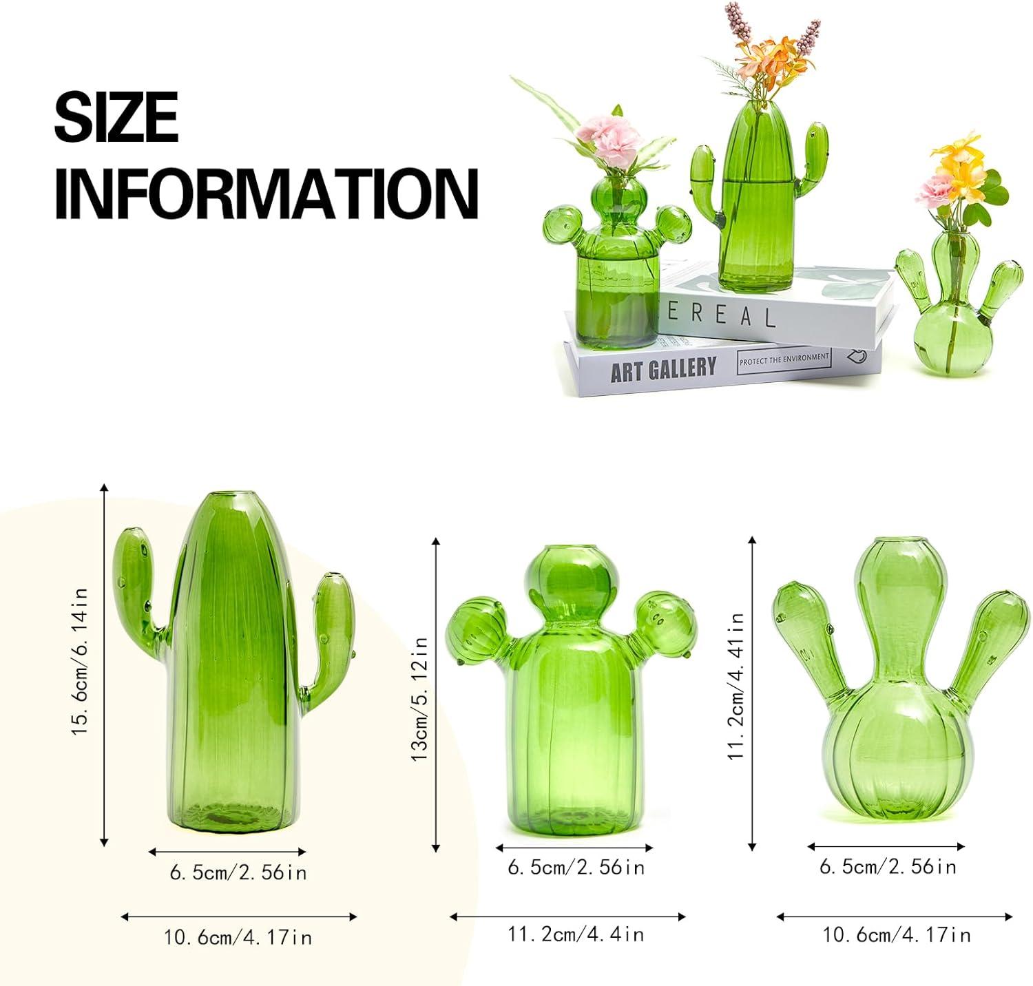 imageXXXFLOWER Cactus Plant Propagation Station Terrarium Jars for Plant Cuttings Air Plant Holders Unique Glass Flower Vase for Hydroponics Plants for Plant Lovers Home Garden Decor3PCS