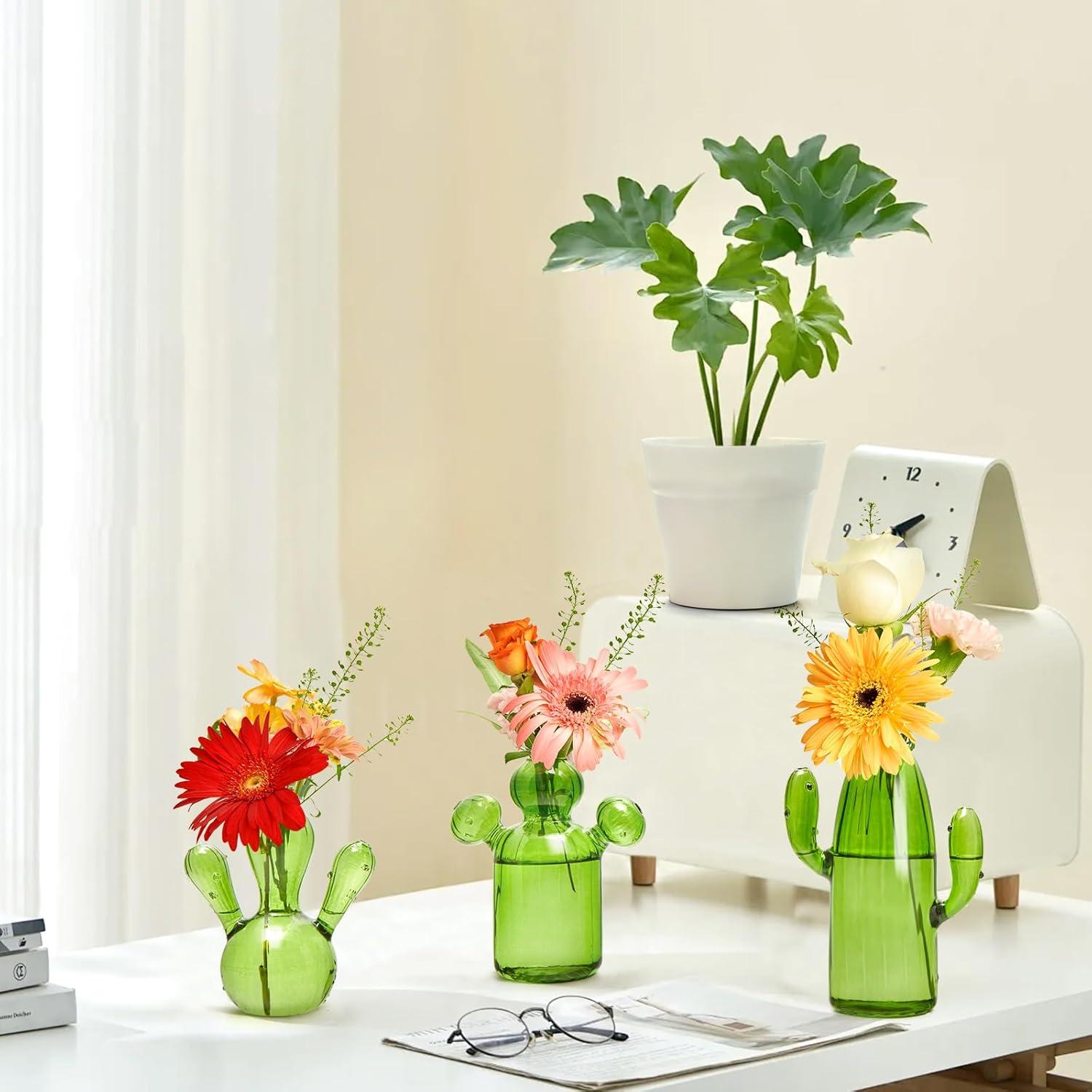 imageXXXFLOWER Cactus Plant Propagation Station Terrarium Jars for Plant Cuttings Air Plant Holders Unique Glass Flower Vase for Hydroponics Plants for Plant Lovers Home Garden Decor3PCS