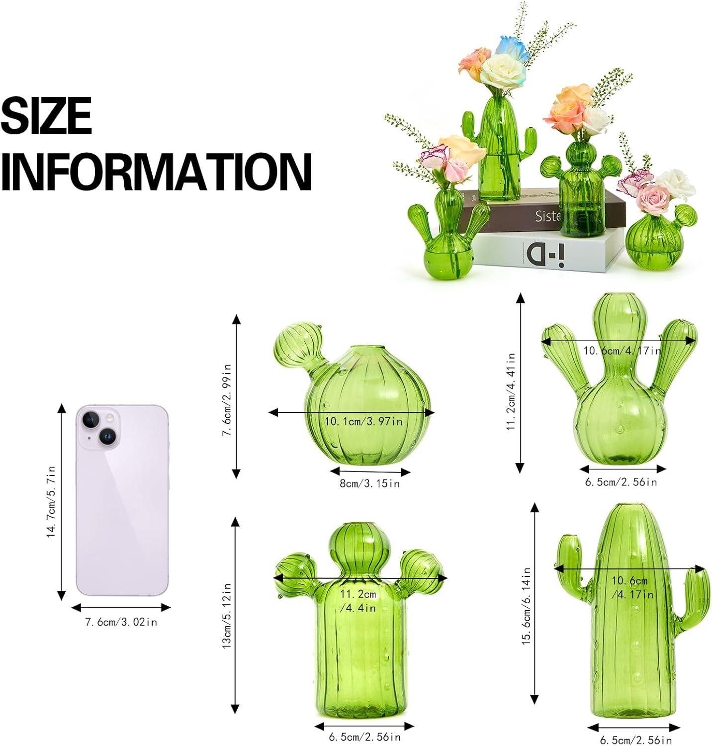 imageXXXFLOWER Cactus Plant Propagation Station Terrarium Jars for Plant Cuttings Air Plant Holders Unique Glass Flower Vase for Hydroponics Plants for Plant Lovers Home Garden Decor4PCS