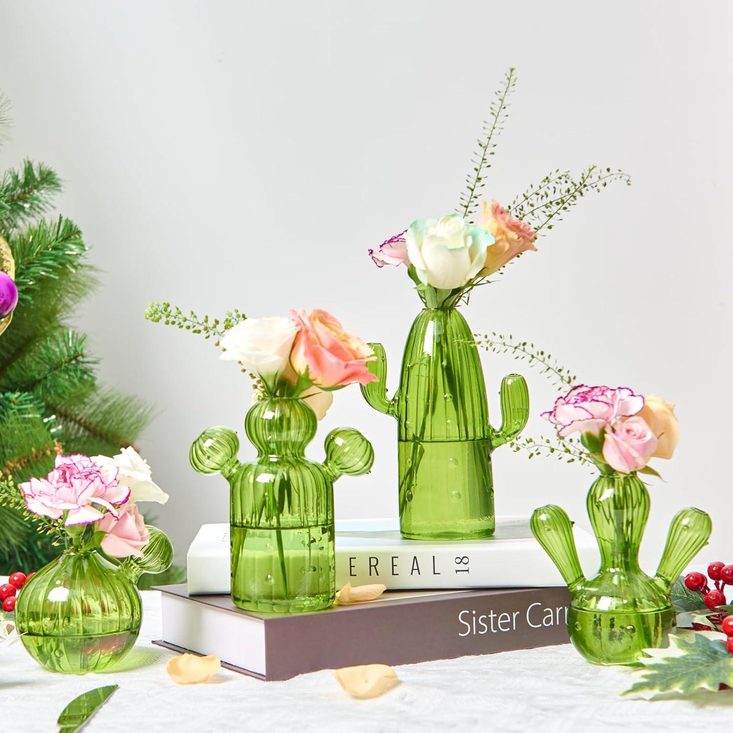 imageXXXFLOWER Cactus Plant Propagation Station Terrarium Jars for Plant Cuttings Air Plant Holders Unique Glass Flower Vase for Hydroponics Plants for Plant Lovers Home Garden Decor4PCS
