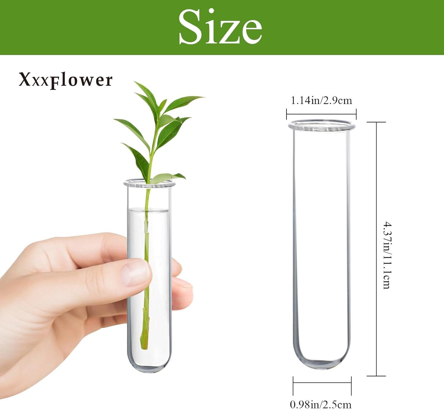 imageXXXFLOWER Glass Propagation Stations Accessories Glass Test Tubes Tiers Planters Wall Terrarium for Home Office Plant Hanger Flower Vases Wall Decor Hydroponic Cuttings Clear4 Tube VasesSize B