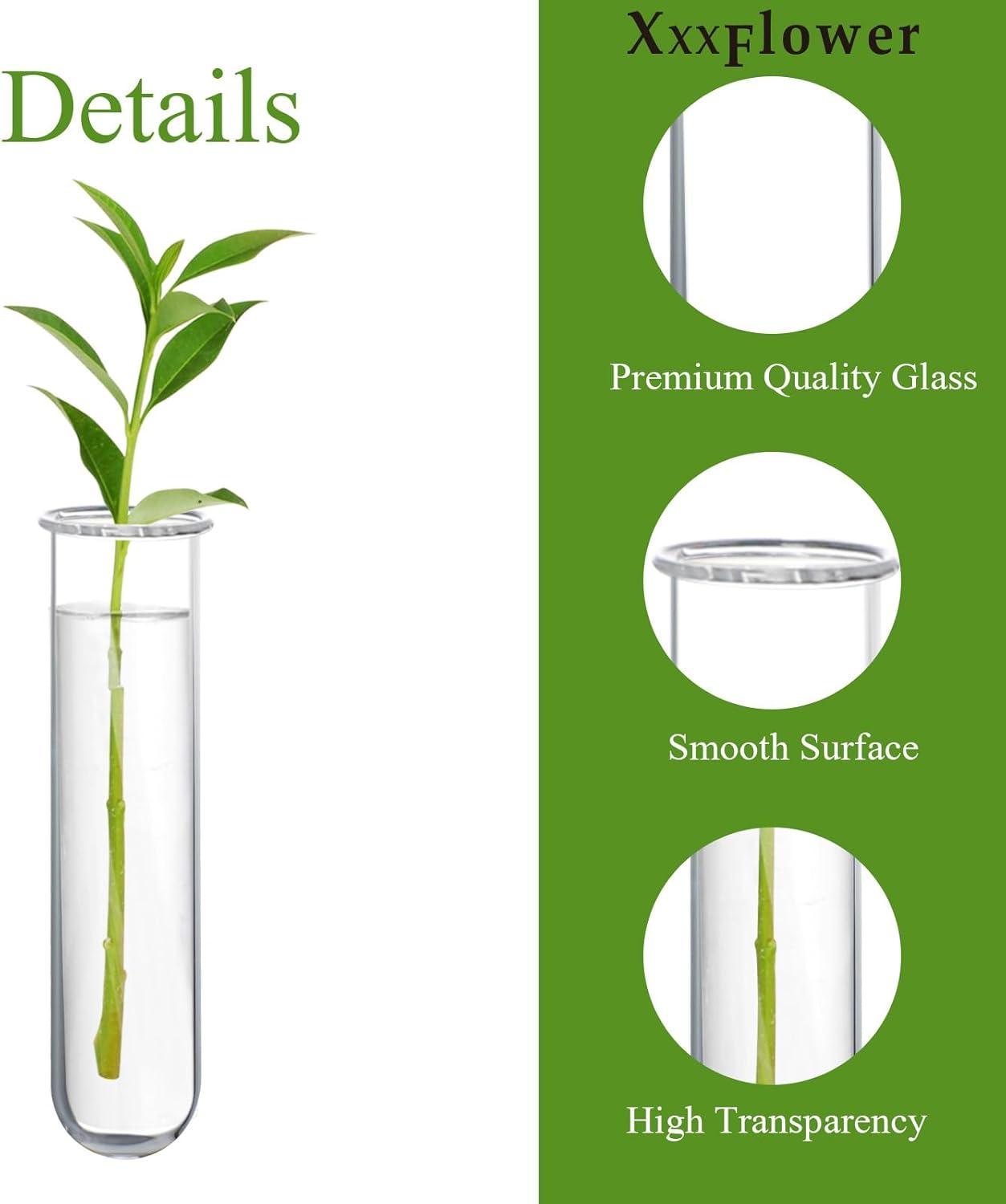 imageXXXFLOWER Glass Propagation Stations Accessories Glass Test Tubes Tiers Planters Wall Terrarium for Home Office Plant Hanger Flower Vases Wall Decor Hydroponic Cuttings Clear4 Tube VasesSize B