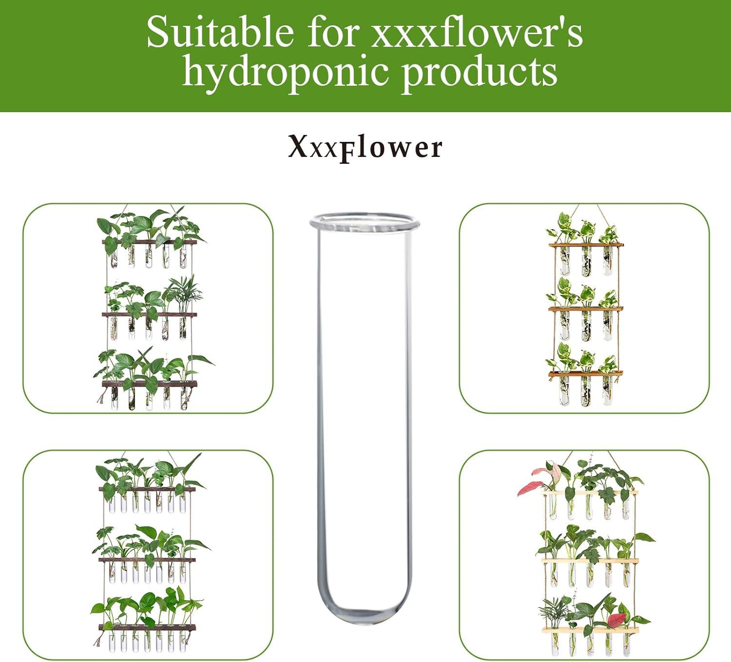 imageXXXFLOWER Glass Propagation Stations Accessories Glass Test Tubes Tiers Planters Wall Terrarium for Home Office Plant Hanger Flower Vases Wall Decor Hydroponic Cuttings Clear4 Tube VasesSize B
