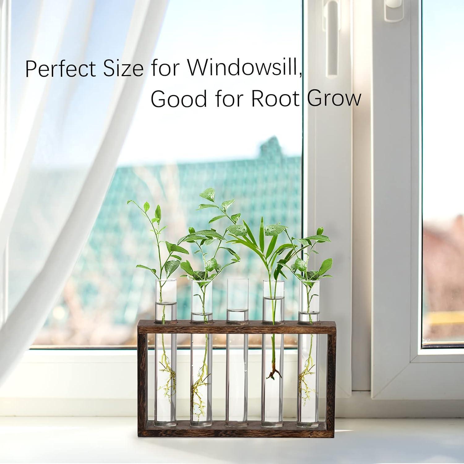 imageXXXFLOWER Plant Terrarium Wooden Stand with 5 Test TubesGlass Planters for Indoor PlantsPlant Lover Gifts for Women Garden Office Decoration5 Test Tubes
