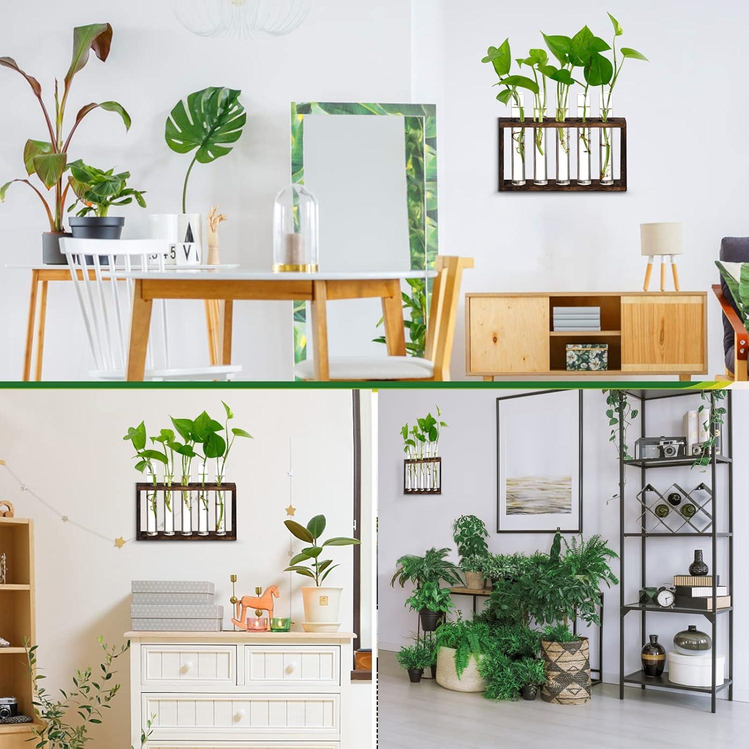 imageXXXFLOWER Plant Terrarium Wooden Stand with 5 Test TubesGlass Planters for Indoor PlantsPlant Lover Gifts for Women Garden Office Decoration5 Test Tubes