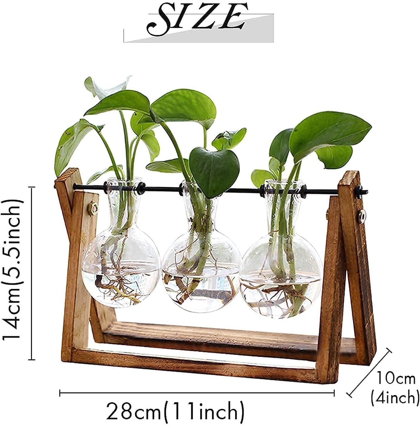 imageXXXFLOWER Plant Terrarium with Wooden Stand Air Planter Bulb Glass Vase Metal Swivel Holder Retro Tabletop for Hydroponics Home Garden Office Decoration
