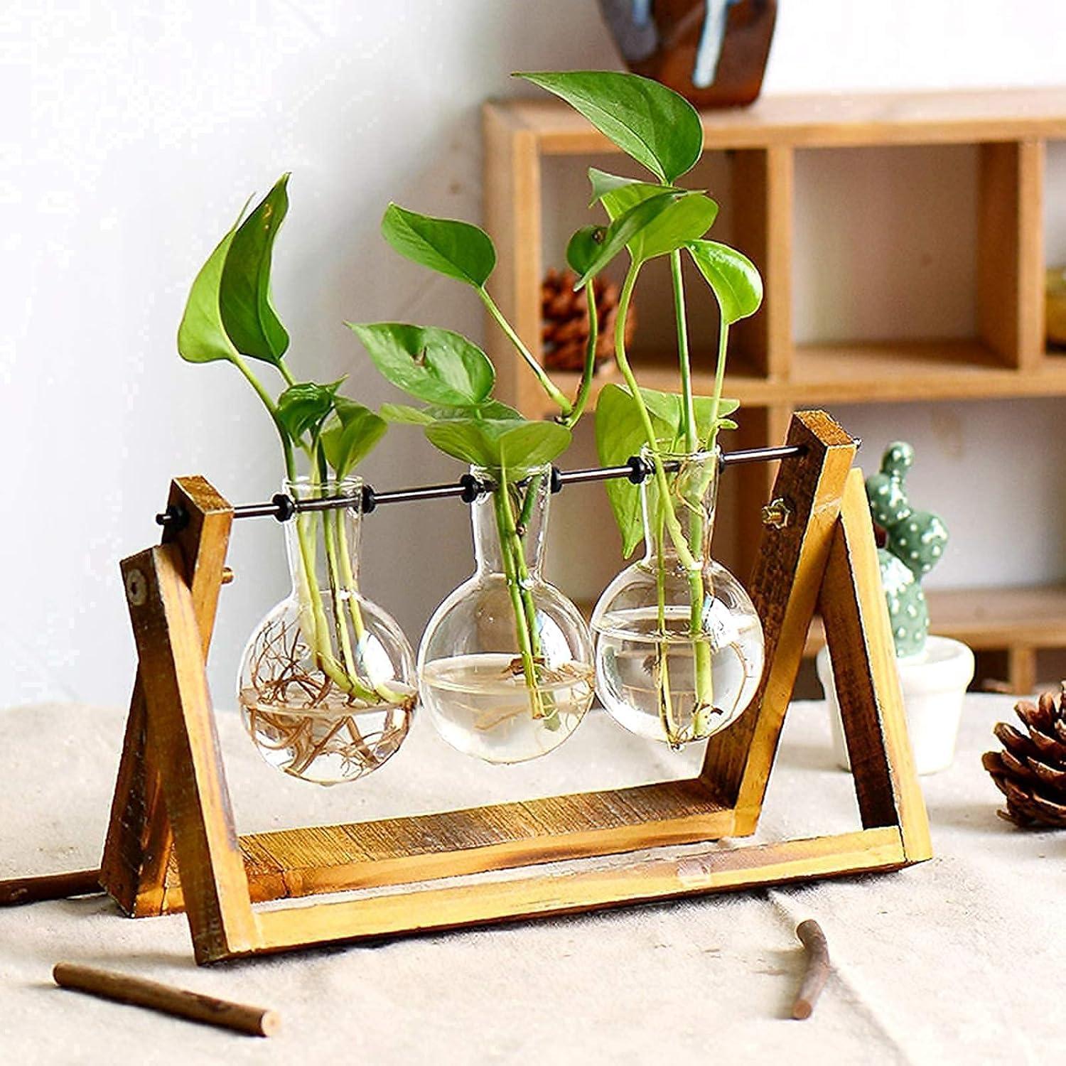 imageXXXFLOWER Plant Terrarium with Wooden Stand Air Planter Bulb Glass Vase Metal Swivel Holder Retro Tabletop for Hydroponics Home Garden Office Decoration