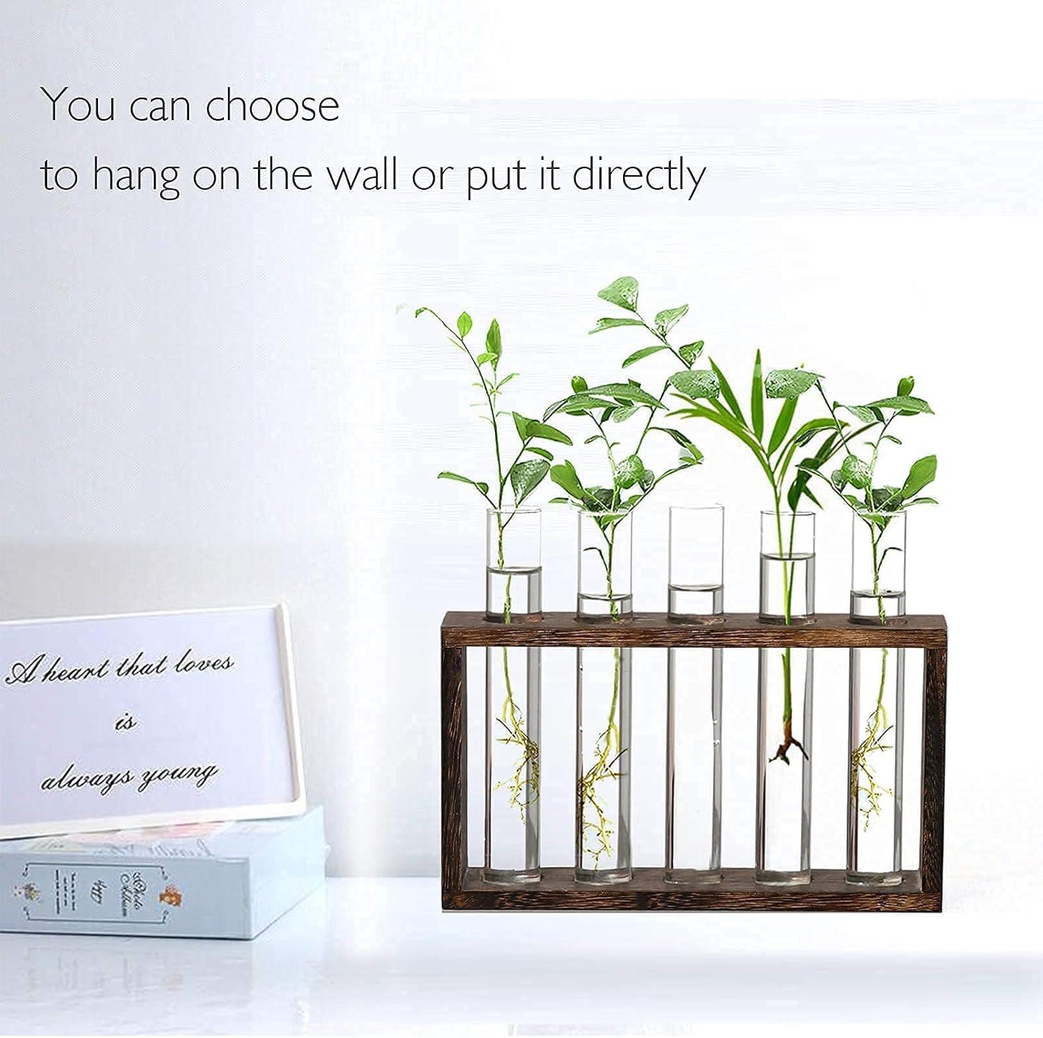 imageXXXFLOWER Plant Terrarium with Wooden Stand Air Planter Bulb Glass Vase Metal Swivel Holder Retro Tabletop for Hydroponics Home Garden Office Decoration