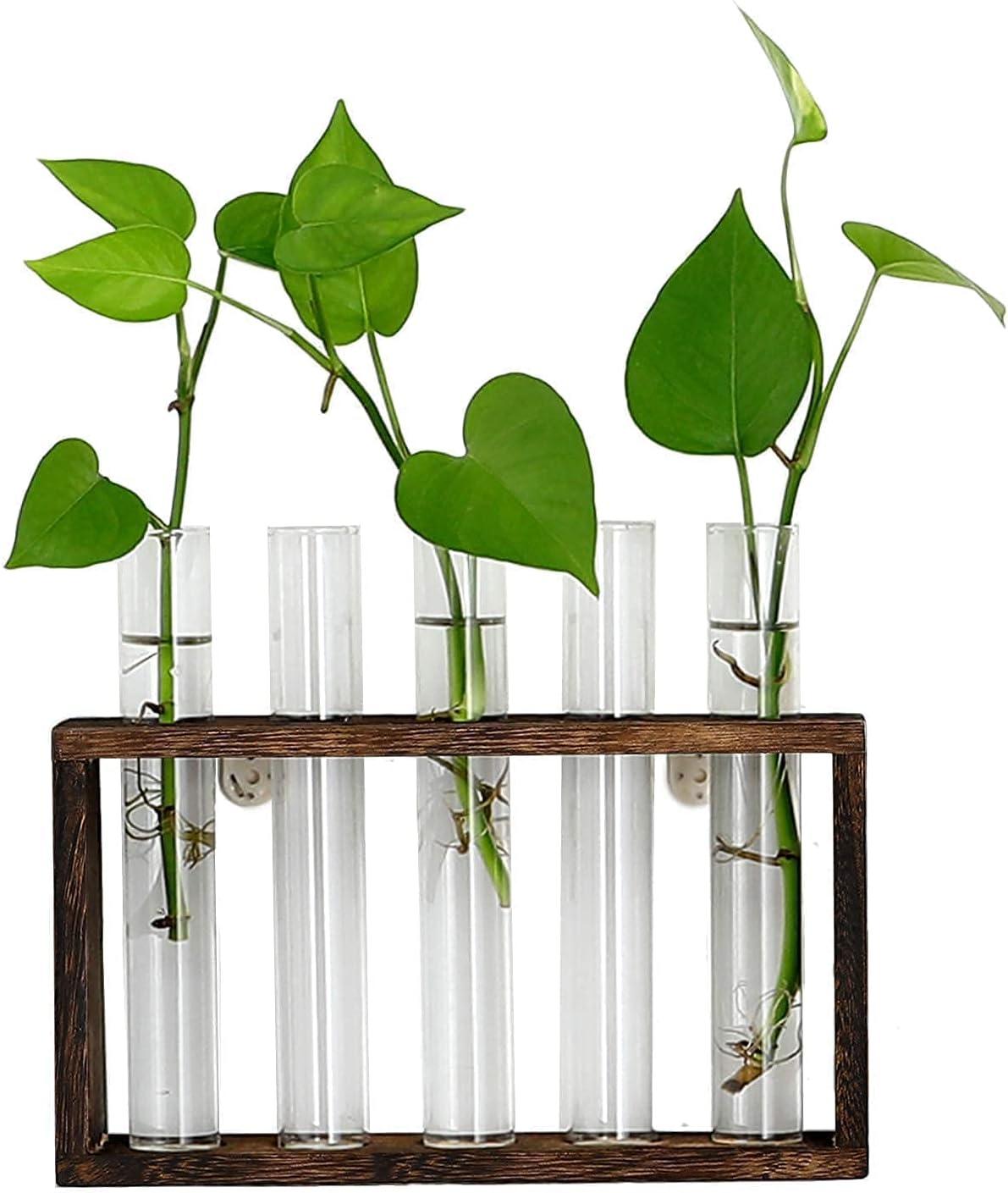 imageXXXFLOWER Plant Terrarium with Wooden Stand Air Planter Bulb Glass Vase Metal Swivel Holder Retro Tabletop for Hydroponics Home Garden Office Decoration