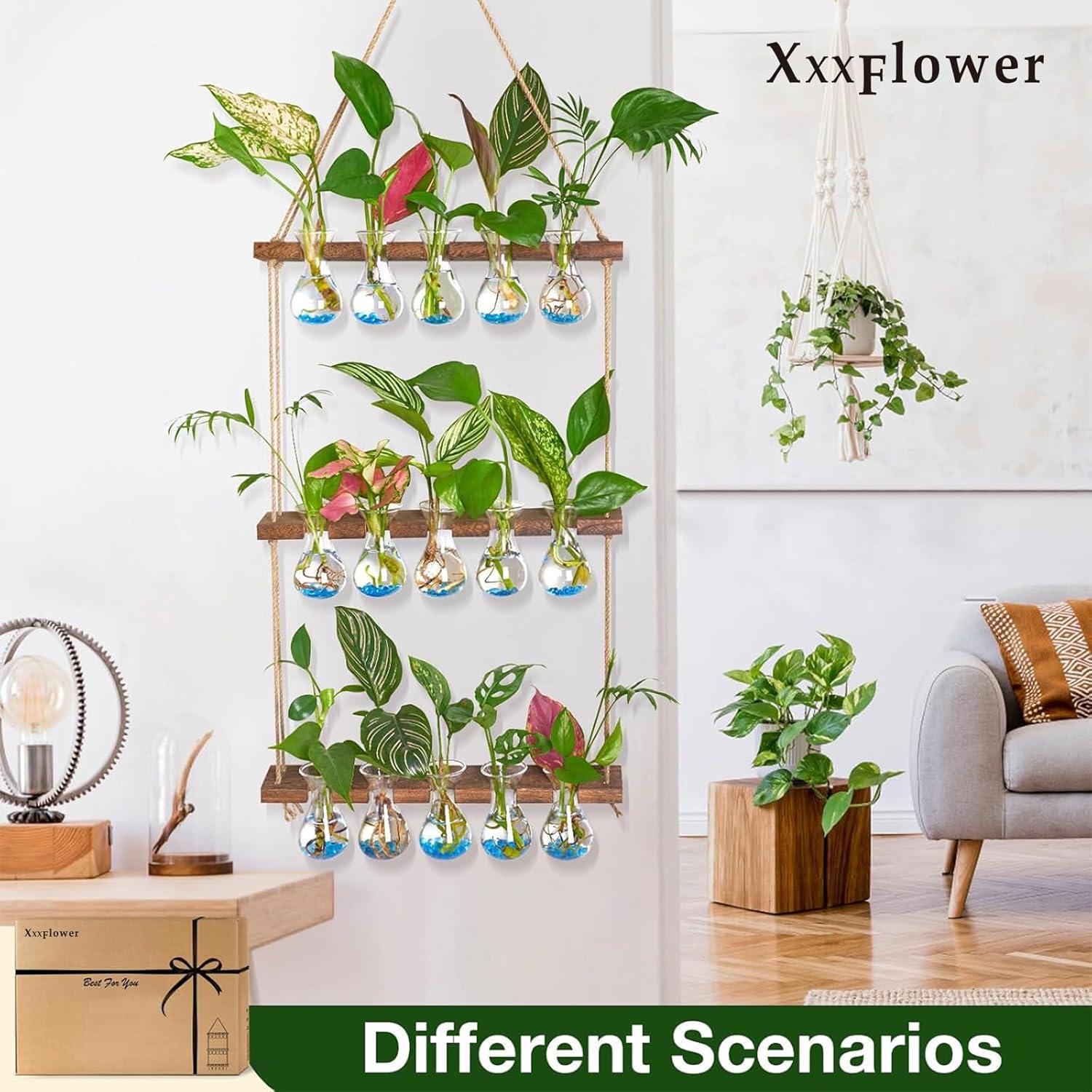 imageXXXFLOWER Wall Hanging Propagation Station Planters Wall Terrarium for Home Office Plant Hanger Flower Vases Accessories3 Bulb VaseSize A