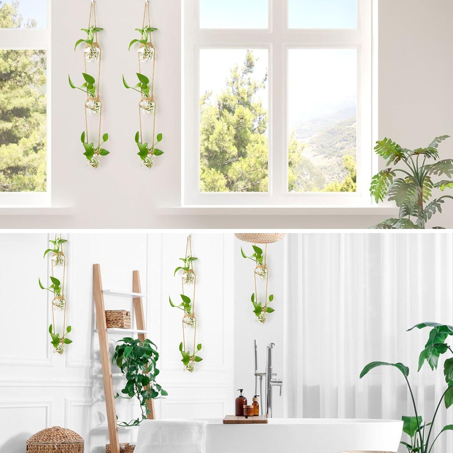 imageXXXFLOWER Wall Hanging Propagation Station2 Tiers Star Shaped Glass Flower Vase for Hydroponic Planter Terrarium for Plant Cutting Home Office Living Room Garden Decor3 Star Vase