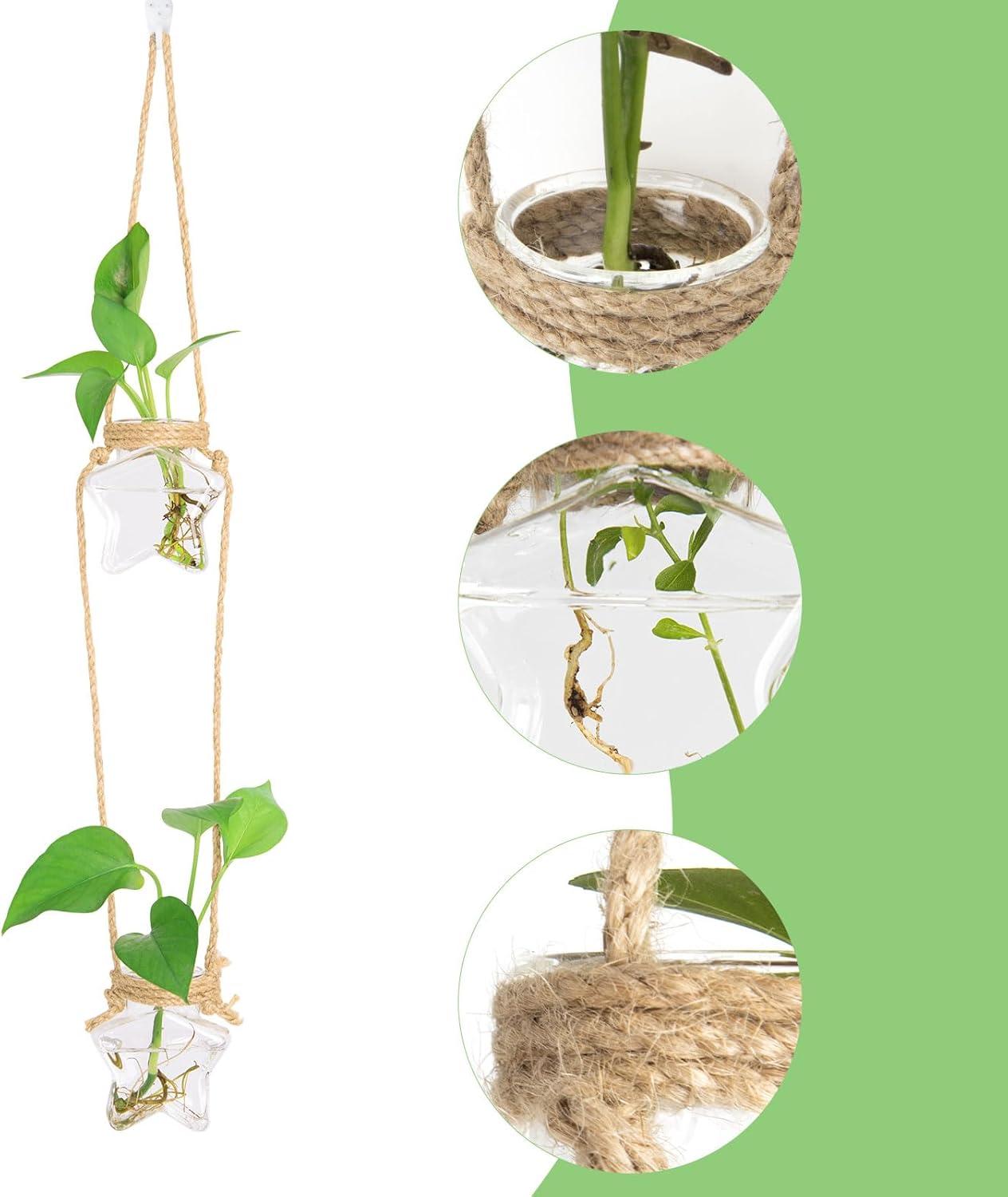 imageXXXFLOWER Wall Hanging Propagation Station2 Tiers Star Shaped Glass Flower Vase for Hydroponic Planter Terrarium for Plant Cutting Home Office Living Room Garden Decor2 Star Vase