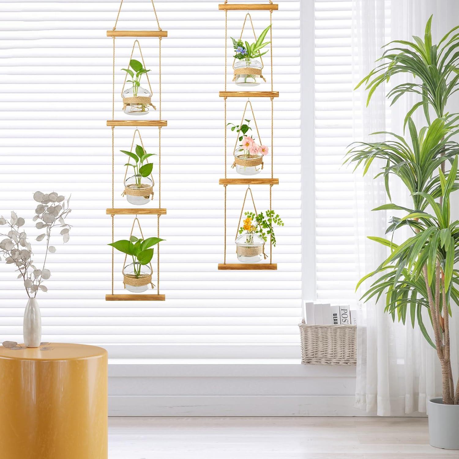 imageXXXFLOWER Wall Hanging Propagation Station2 Tiers Star Shaped Glass Flower Vase for Hydroponic Planter Terrarium for Plant Cutting Home Office Living Room Garden Decor3 Mushroom Vase