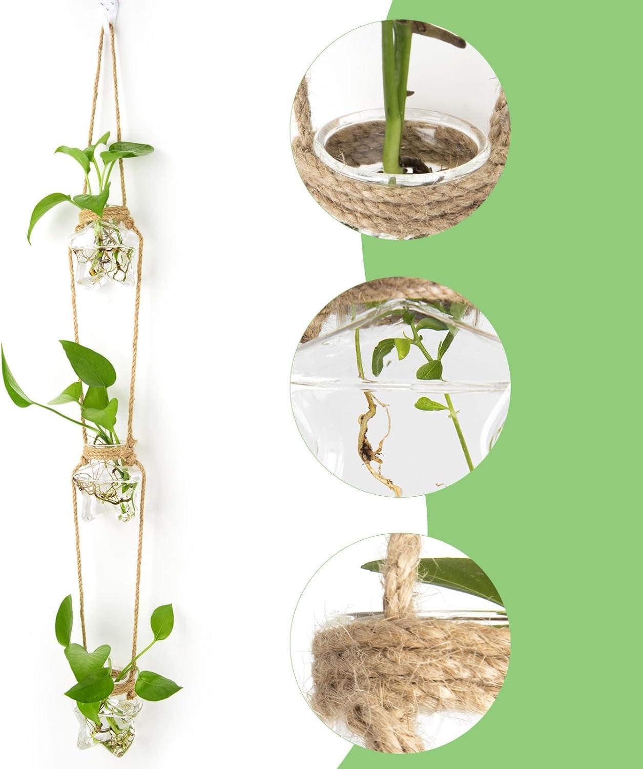 imageXXXFLOWER Wall Hanging Propagation Station2 Tiers Star Shaped Glass Flower Vase for Hydroponic Planter Terrarium for Plant Cutting Home Office Living Room Garden Decor3 Star Vase
