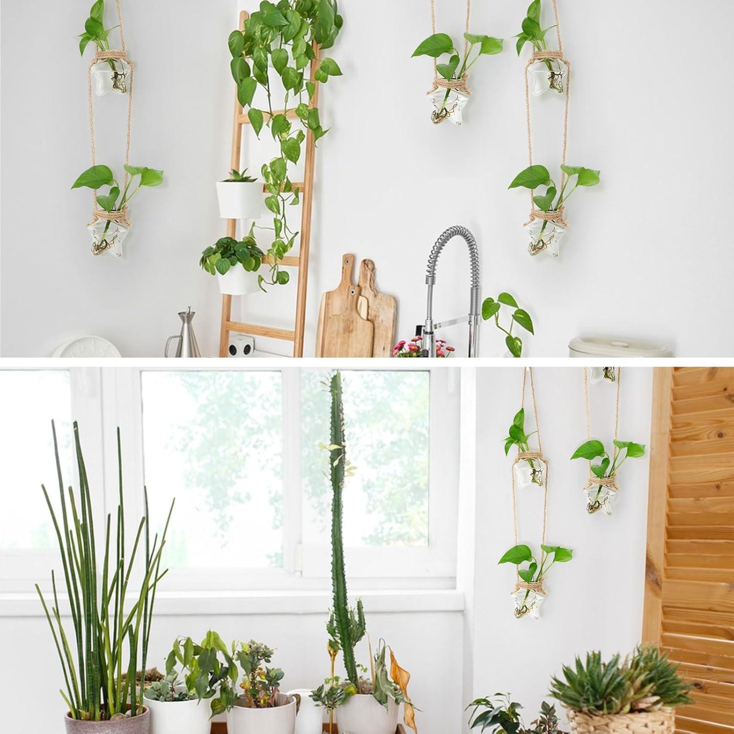 imageXXXFLOWER Wall Hanging Propagation Station2 Tiers Star Shaped Glass Flower Vase for Hydroponic Planter Terrarium for Plant Cutting Home Office Living Room Garden Decor2 Star Vase
