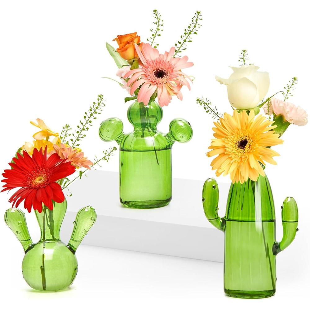 imageXXXFLOWER Cactus Plant Propagation Station Terrarium Jars for Plant Cuttings Air Plant Holders Unique Glass Flower Vase for Hydroponics Plants for Plant Lovers Home Garden Decor3PCS