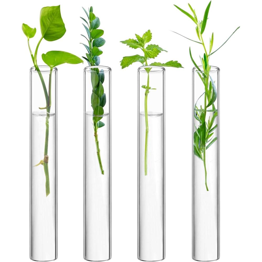 imageXXXFLOWER Glass Propagation Stations Accessories Glass Test Tubes Tiers Planters Wall Terrarium for Home Office Plant Hanger Flower Vases Wall Decor Hydroponic Cuttings Clear4 Tube VasesSize A