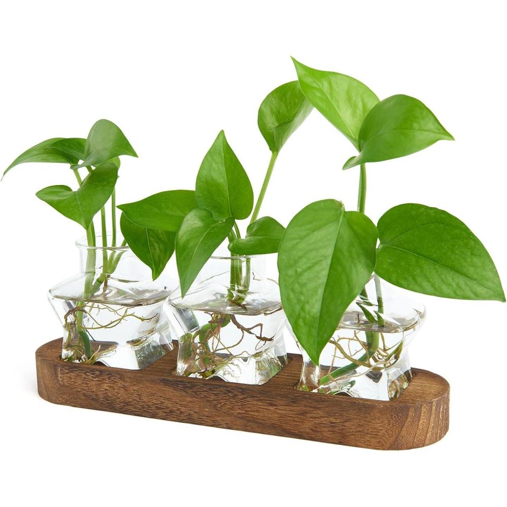imageXXXFLOWER Plant Terrarium Wooden Stand with 5 Test TubesGlass Planters for Indoor PlantsPlant Lover Gifts for Women Garden Office Decoration3 Star Vases