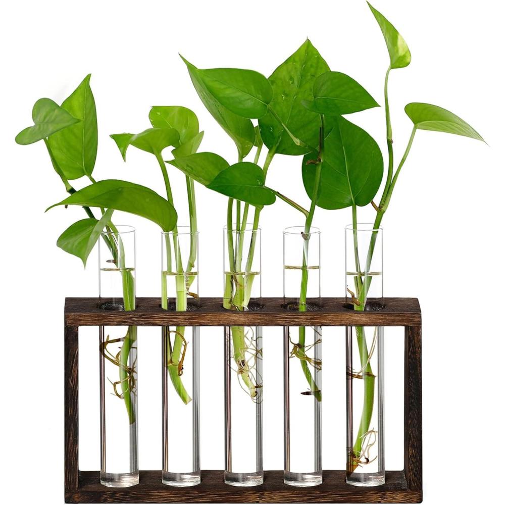 imageXXXFLOWER Plant Terrarium Wooden Stand with 5 Test TubesGlass Planters for Indoor PlantsPlant Lover Gifts for Women Garden Office Decoration5 Test Tubes