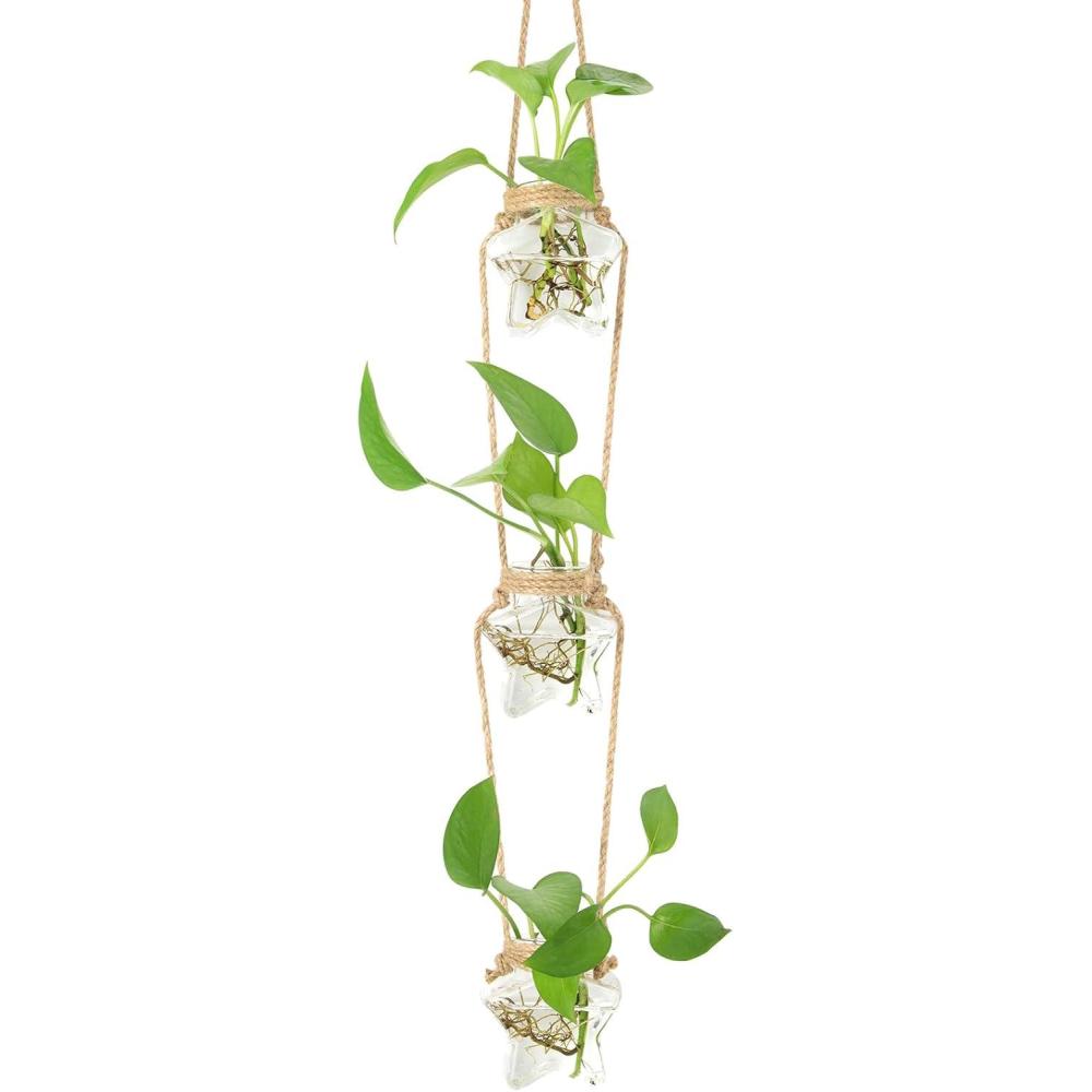 imageXXXFLOWER Wall Hanging Propagation Station2 Tiers Star Shaped Glass Flower Vase for Hydroponic Planter Terrarium for Plant Cutting Home Office Living Room Garden Decor3 Star Vase
