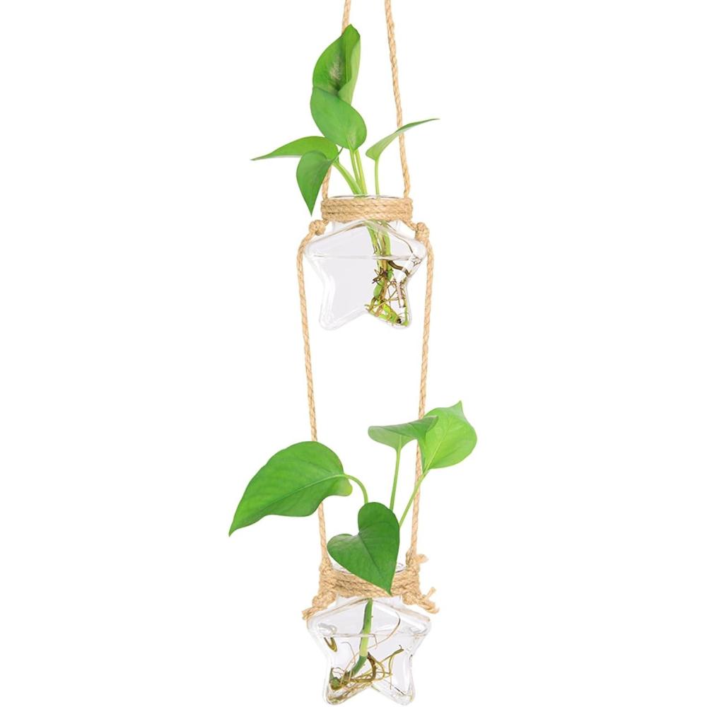 imageXXXFLOWER Wall Hanging Propagation Station2 Tiers Star Shaped Glass Flower Vase for Hydroponic Planter Terrarium for Plant Cutting Home Office Living Room Garden Decor2 Star Vase