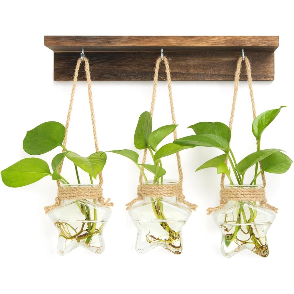 imageXXXFLOWER Wall Mounted Plant Terrarium with Wooden Stand 3 PCS Hanging Planter Propagation Station with 3 Glass Tubes for Plant Cuttings Flower Vases for Home Office Indoor Decor3 StarShaped Glass Vases