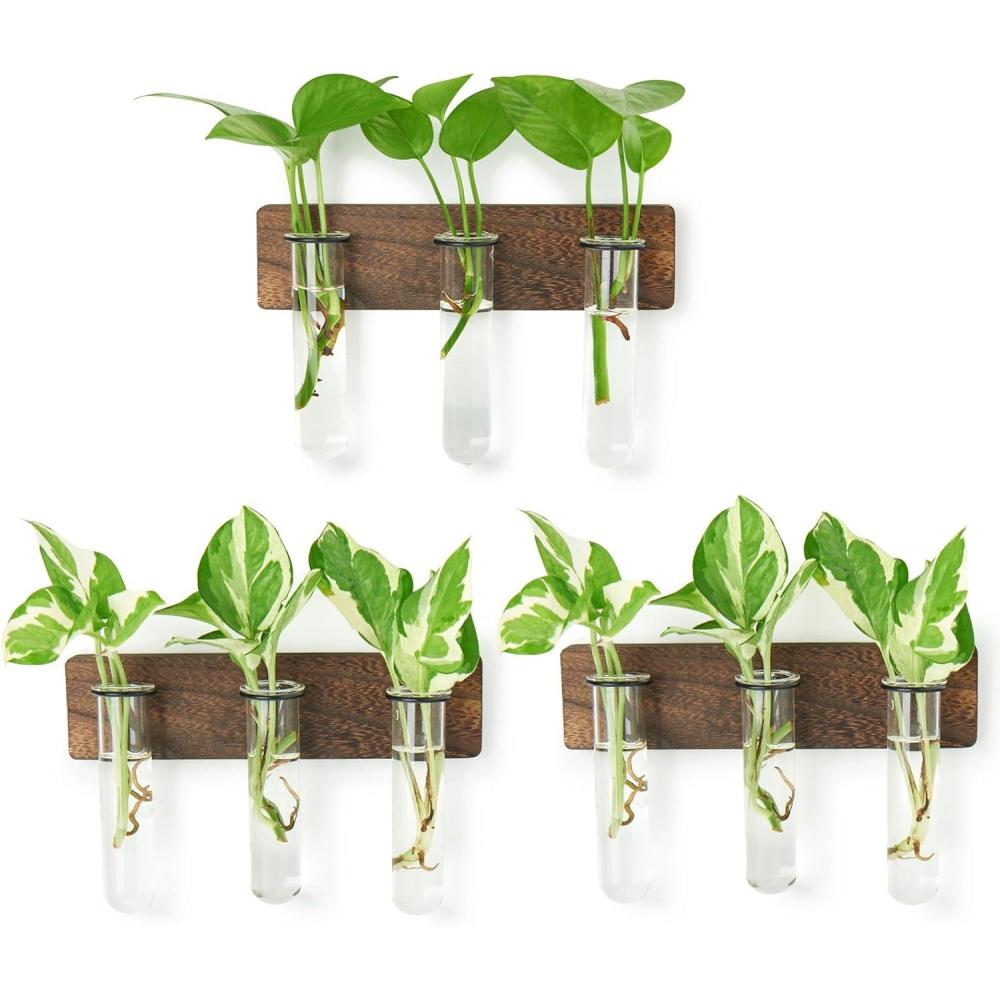 imageXXXFLOWER Wall Mounted Plant Terrarium with Wooden Stand 3 PCS Hanging Planter Propagation Station with 3 Glass Tubes for Plant Cuttings Flower Vases for Home Office Indoor Decor9 Glass Tubes with Ring