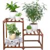 Brown-3 Potted