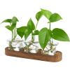 3 Star Vases