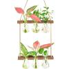 Brown-6 Bulb Vase