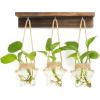 3 Star-Shaped Glass Vases