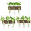 9 Glass Tubes with Ring