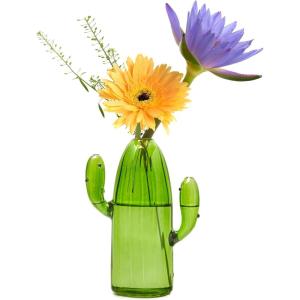 XXXFLOWER Cactus Plant Propagation Station Terrarium Jars for Plant Cuttings Air Plant Holders Unique Glass Flower Vase for Hydroponics Plants for Plant Lovers Home Garden Decor(1PC)