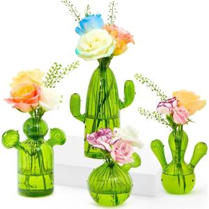 XXXFLOWER Cactus Plant Propagation Station Terrarium Jars for Plant Cuttings Air Plant Holders Unique Glass Flower Vase for Hydroponics Plants for Plant Lovers Home Garden Decor(4PCS)