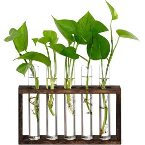 XXXFLOWER Plant Terrarium Wooden Stand with 5 Test Tubes,Glass Planters for Indoor Plants,Plant Lover Gifts for Women Garden Office Decoration(5 Test Tubes)