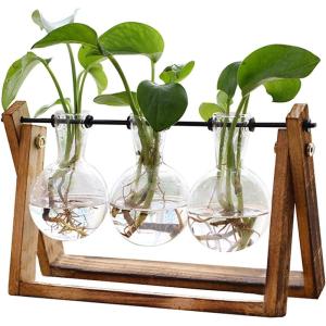 XXXFLOWER Plant Terrarium with Wooden Stand, Air Planter Bulb Glass Vase Metal Swivel Holder Retro Tabletop for Hydroponics Home Garden Office Decoration – 3 Bulb Vase