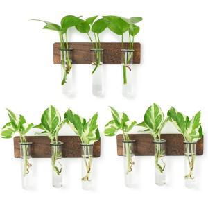 XXXFLOWER Wall Mounted Plant Terrarium with Wooden Stand 3 PCS Hanging Planter Propagation Station with 3 Glass Tubes for Plant Cuttings Flower Vases for Home Office Indoor Decor(9 Glass Tubes with Ring)