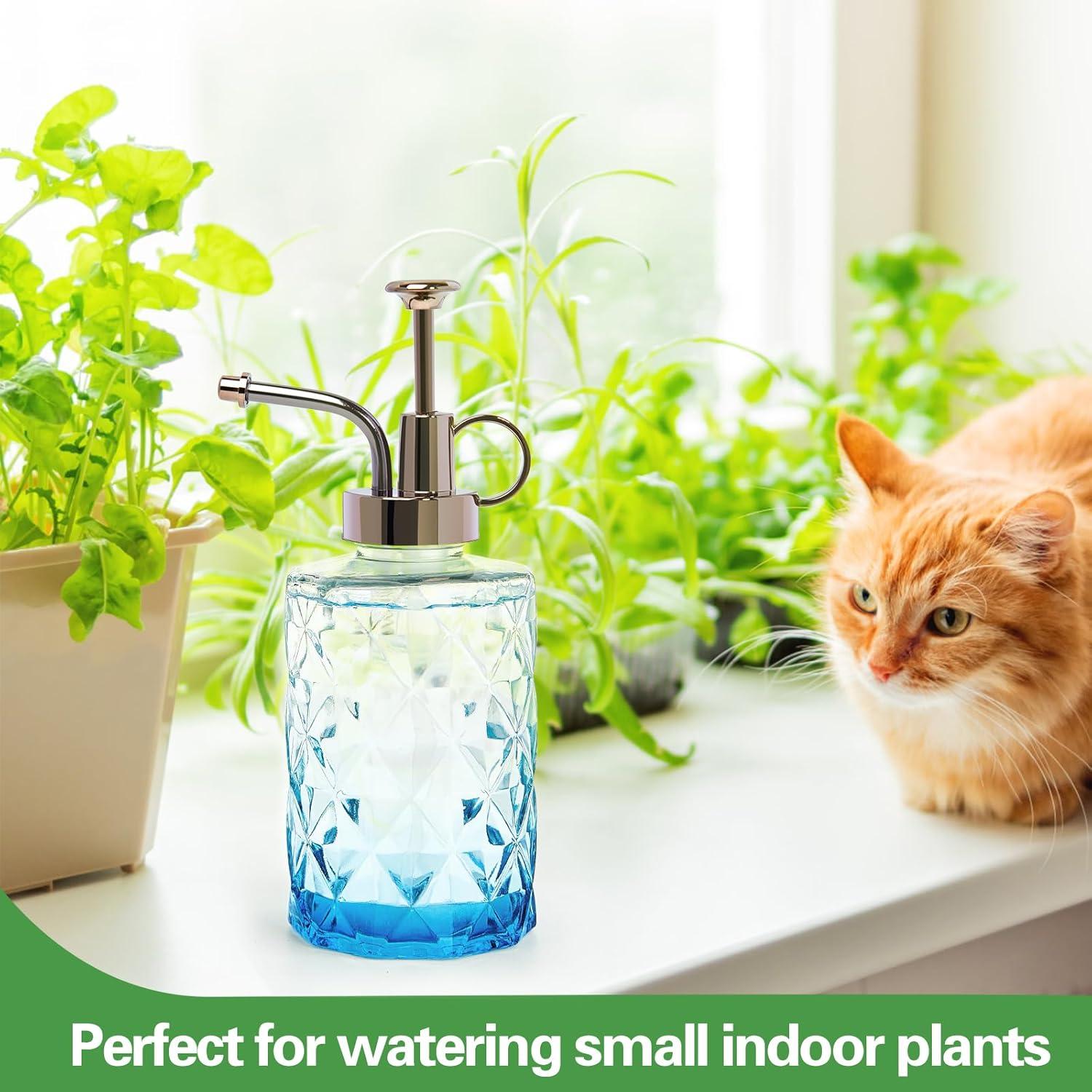 imageXXXFLOWER Upgraded Glass Plant Mister Spray Bottle 033L1115oz Decorative Spritzer Watering for Indoor House Plant Spritzer Succulent Watering BottleLightblue
