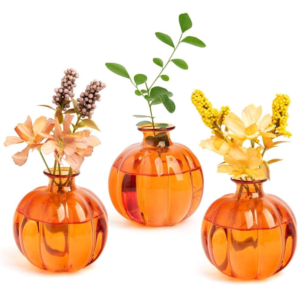 imageXXXFLOWER Plant Terrarium Propagation Stations Unique Gifts for Women Plant Lovers 3Pcs PumpkinShaped Glass Vase for Tabletop Home Office Garden Decor Plants NOT Included