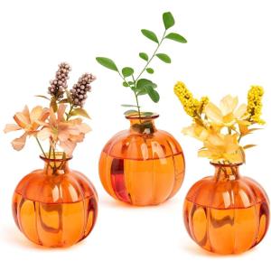 XXXFLOWER Plant Terrarium Propagation Stations Unique Gifts for Women Plant Lovers 3Pcs Pumpkin-Shaped Glass Vase for Tabletop Home Office Garden Decor (Plants NOT Included)