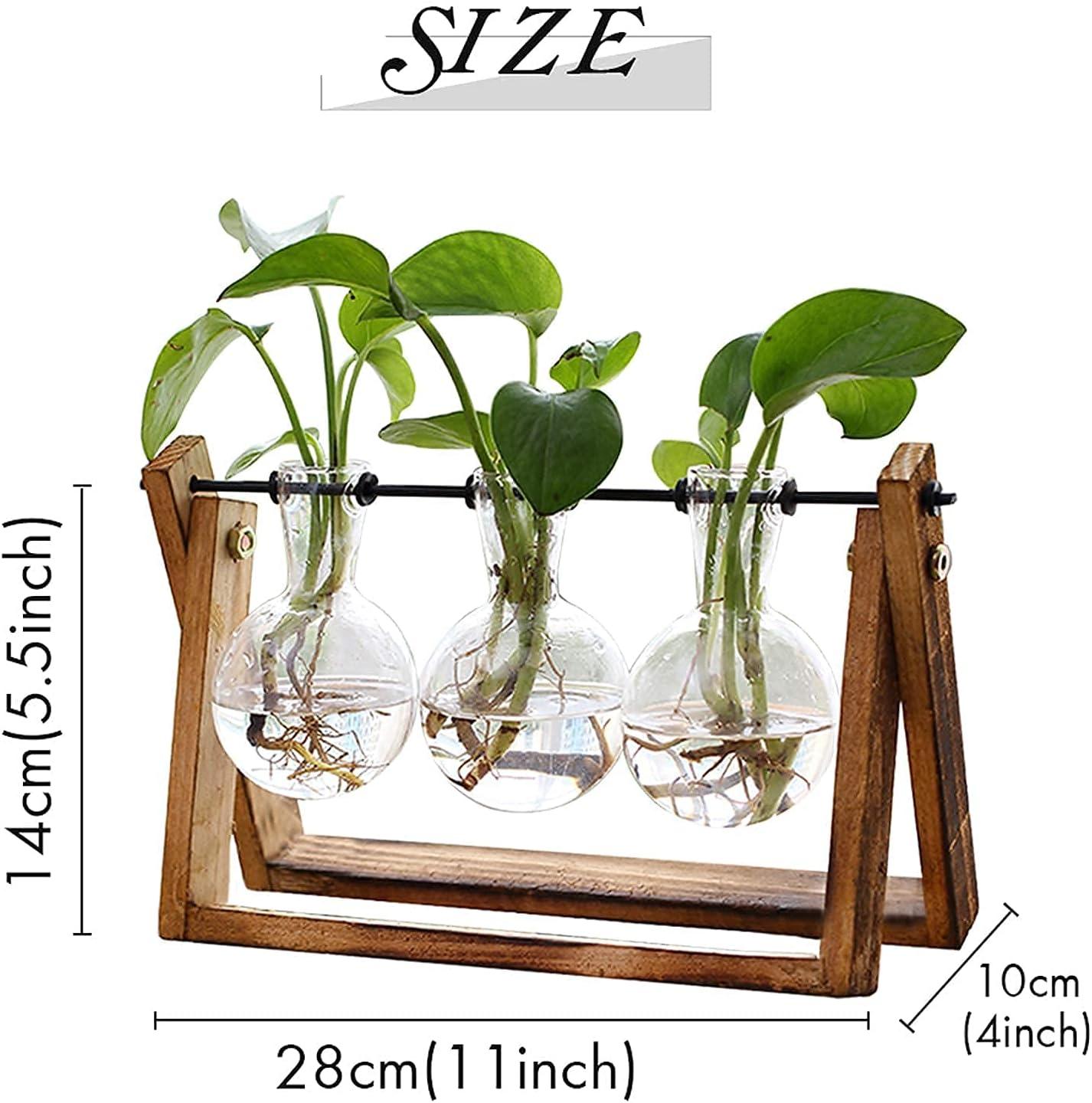 imageXXXFLOWER Plant Terrarium with Wooden Stand Air Planter Bulb Glass Vase Metal Swivel Holder Retro Tabletop for Hydroponics Home Garden Office Decoration