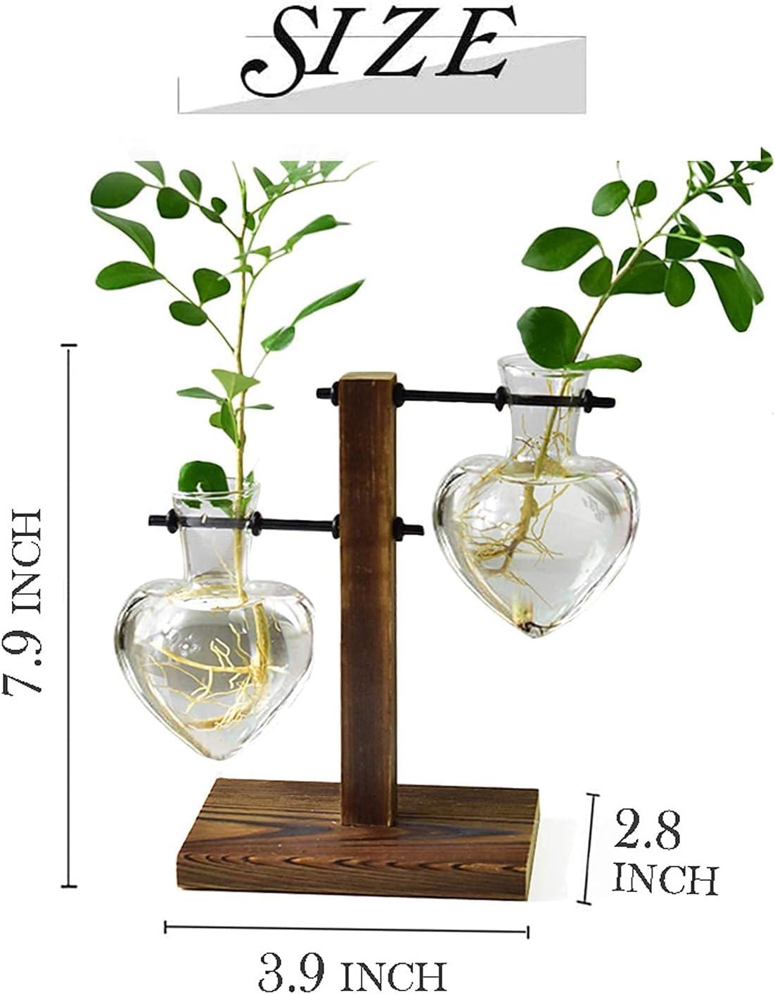 imageXXXFLOWER Plant Terrarium with Wooden Stand Air Planter Bulb Glass Vase Metal Swivel Holder Retro Tabletop for Hydroponics Home Garden Office Decoration