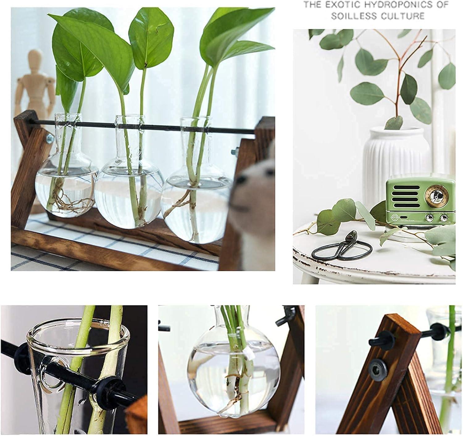 imageXXXFLOWER Plant Terrarium with Wooden Stand Air Planter Bulb Glass Vase Metal Swivel Holder Retro Tabletop for Hydroponics Home Garden Office Decoration
