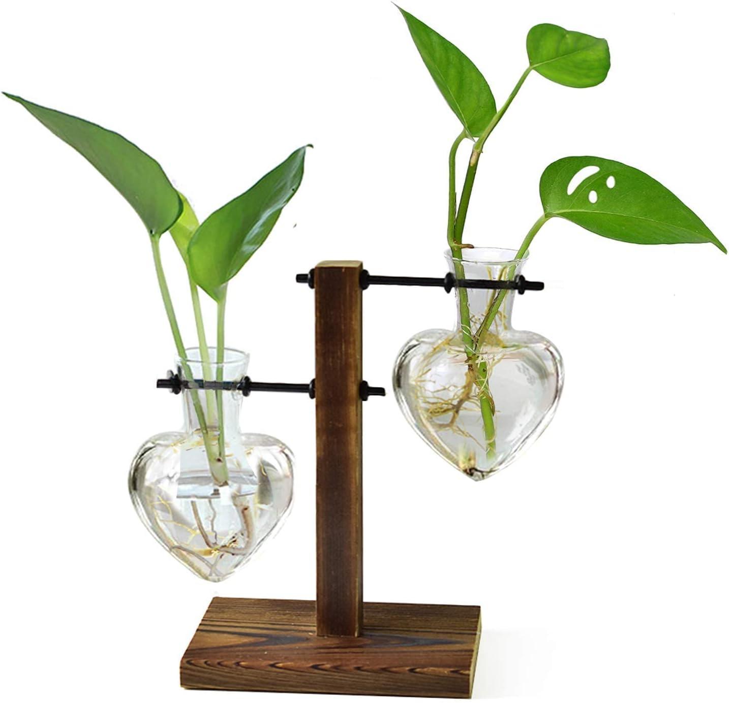 imageXXXFLOWER Plant Terrarium with Wooden Stand Air Planter Bulb Glass Vase Metal Swivel Holder Retro Tabletop for Hydroponics Home Garden Office Decoration