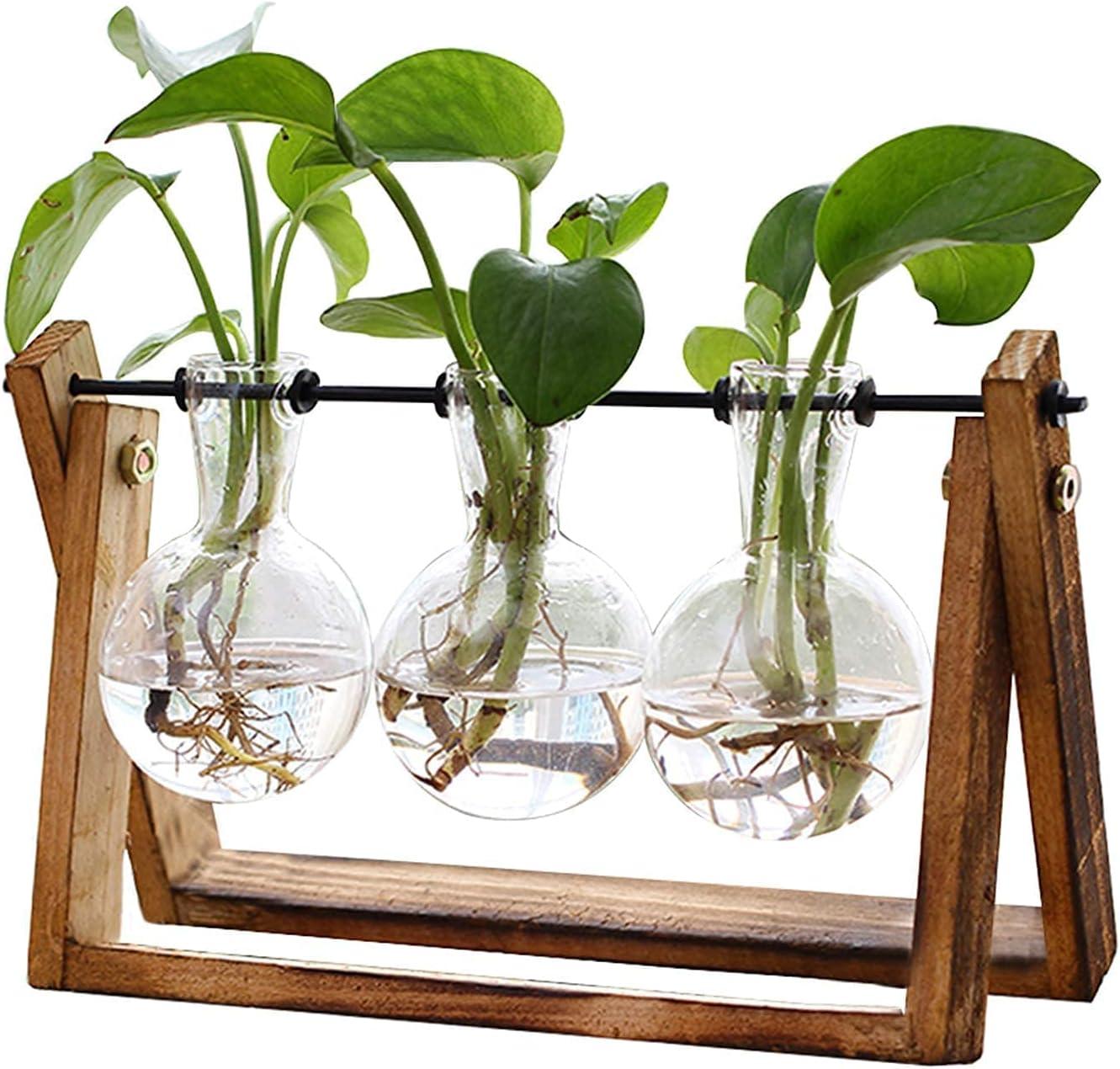 imageXXXFLOWER Plant Terrarium with Wooden Stand Air Planter Bulb Glass Vase Metal Swivel Holder Retro Tabletop for Hydroponics Home Garden Office Decoration